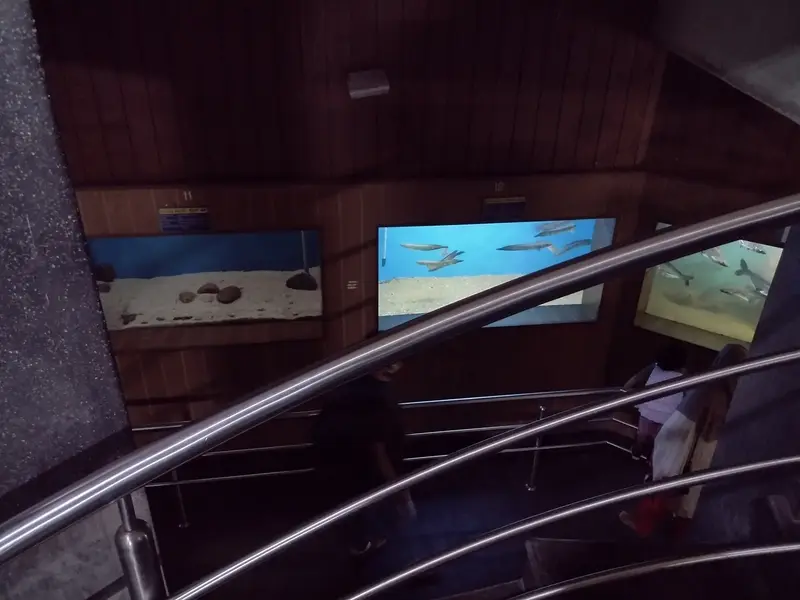 The original aquarium gallery before redevelopment, photographed in 2021
