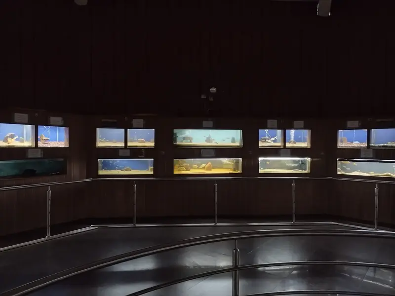 The original gallery and display tanks before redevelopment, photographed in 2021