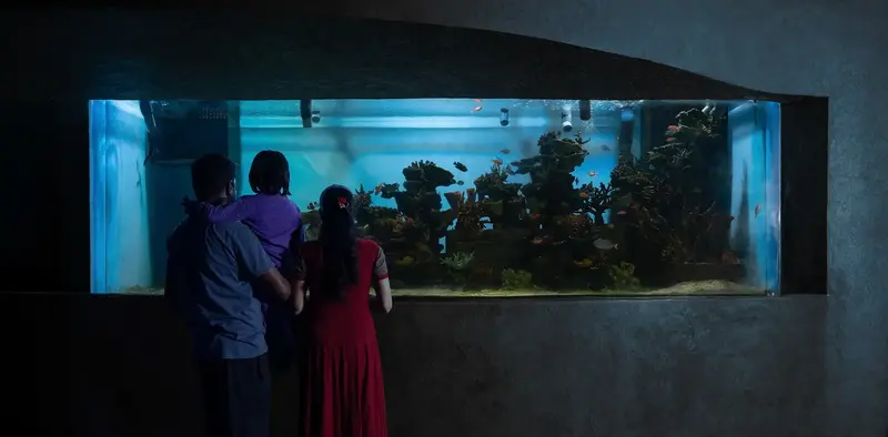 Visitors viewing a completed Namma Bengaluru Aquarium exhibit