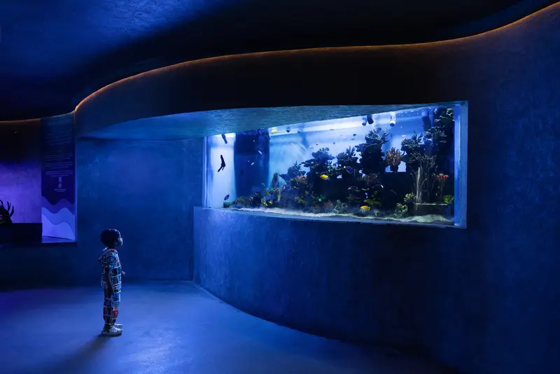 The reimagined modern aquarium interior