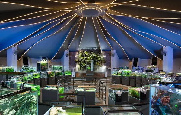 Corporate Events