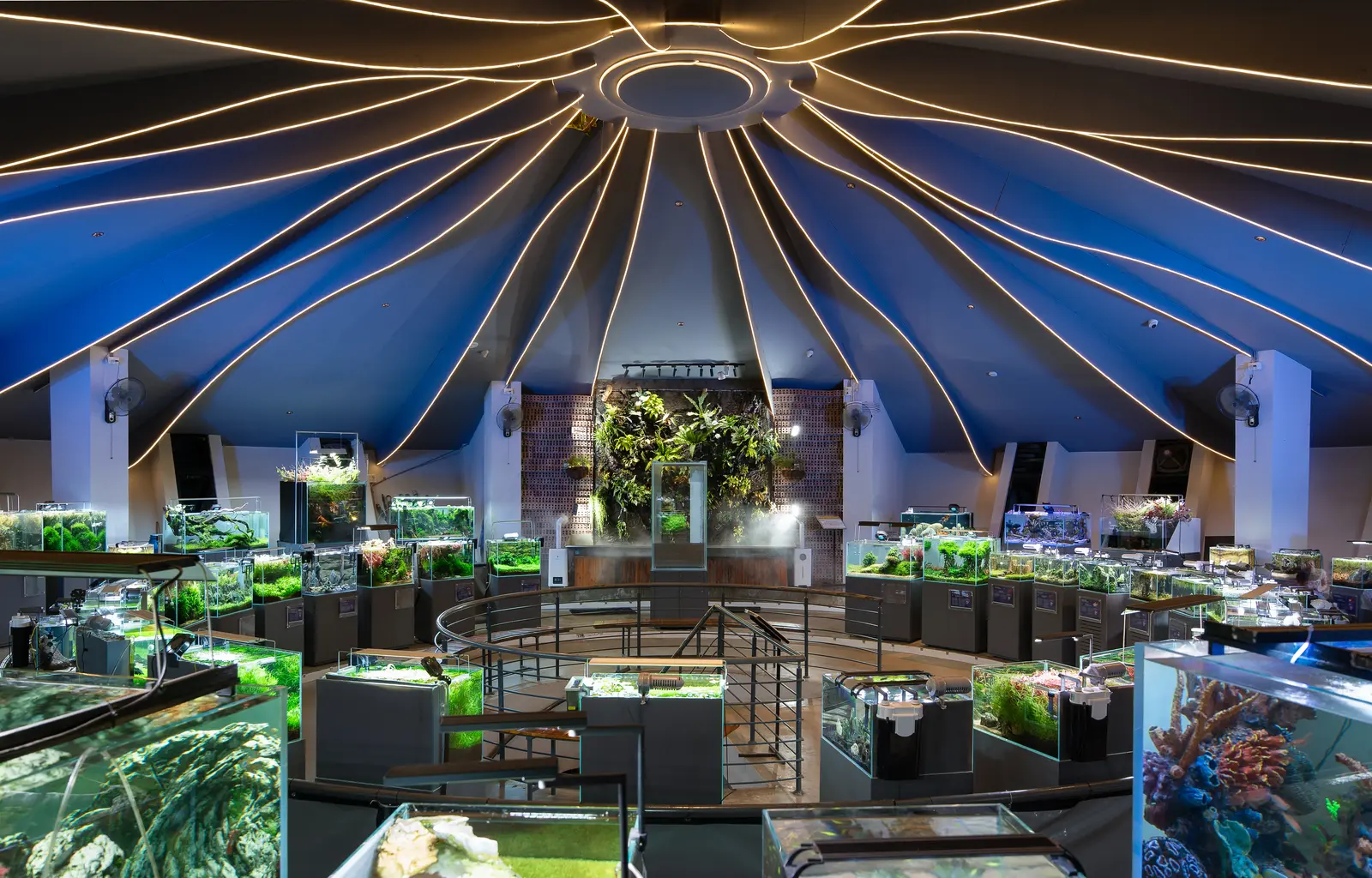 Corporate Events