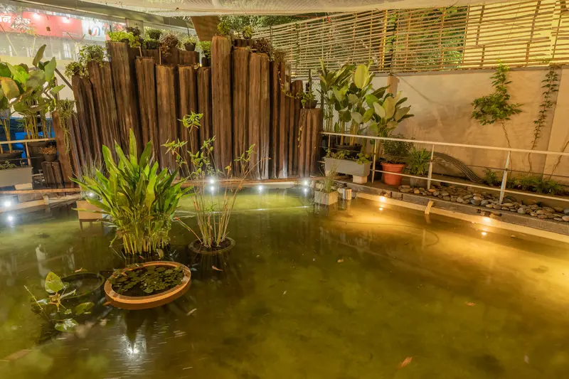 A garden pond inspired by the Kaveri with plants and colourful koi