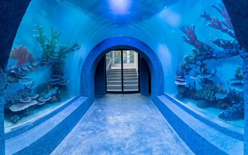 Blue-lit Marine Tunnel with reef displays surrounding the walkway